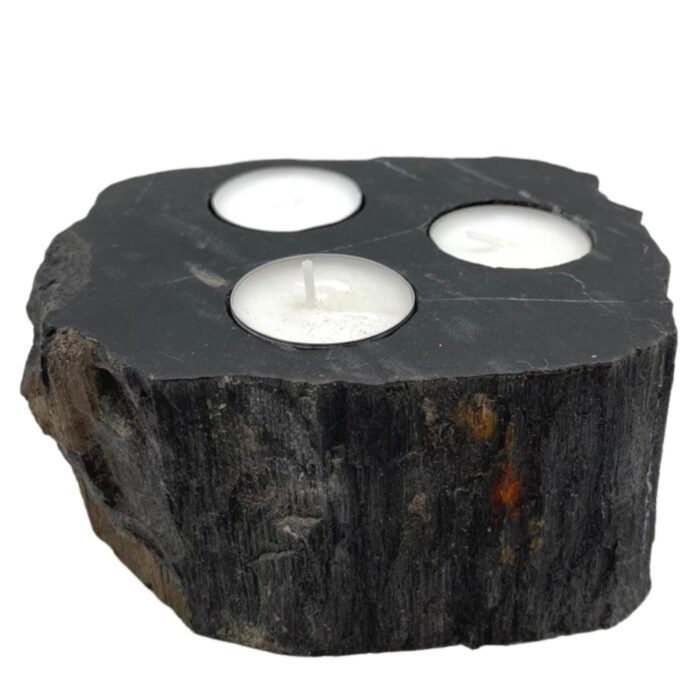 Petrified Wood Candle Holder - Triple / Petrified Wood Candle Holder Triple 1